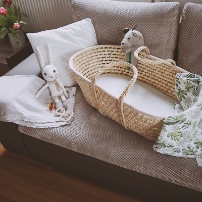 Berço de palha com almofada e manta no sofá com bonecos e flores ao lado