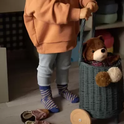 Criança com camisola castanha e calças azul claras segurando carrinho de brinquedo azul com urso de peluche.