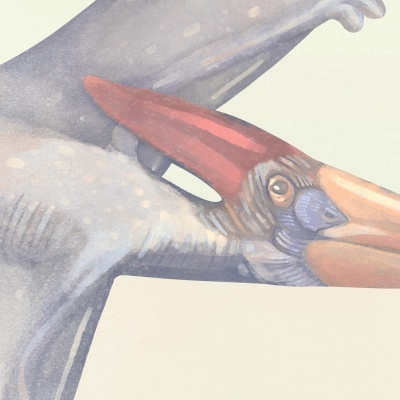 https://www.marangga.com/product/papel-de-parede-infantil-dinossauros