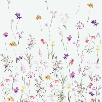 padrão floral com flores pequenas coloridas sobre fundo branco