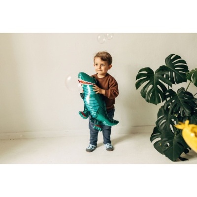 Criança com balão dinossauro em quarto com planta verde