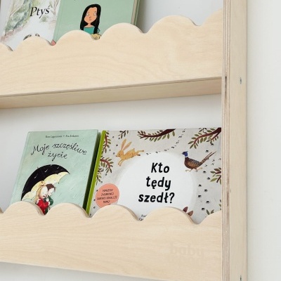 Estante de madeira clara com livros infantis organizados