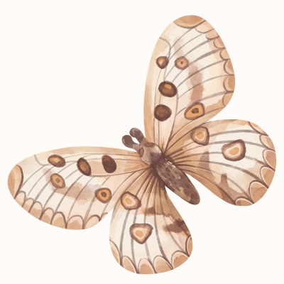 Ilustração de uma borboleta com asas castanhas e bege em fundo branco