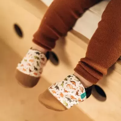 Sapatinhos de bebé com padrão de dinossauros e calças castanhas