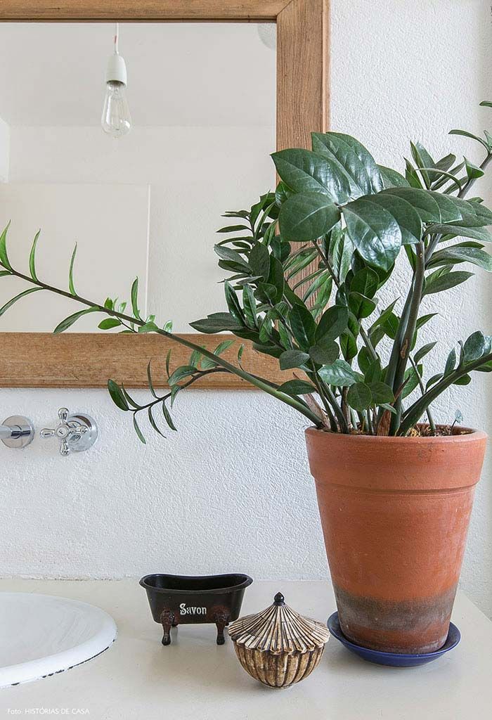 Vaso de barro com planta, saboneteira preta, caixa decorativa, espelho e parede branca.