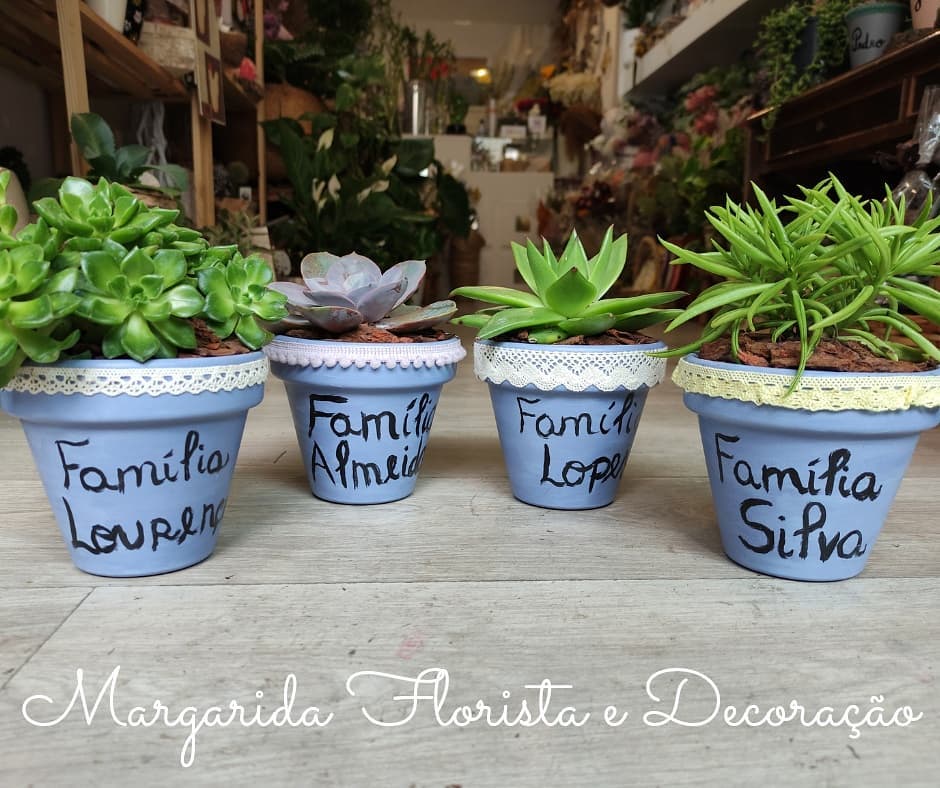 Quatro vasos azuis claros com plantas suculentas e textos manuscritos de nomes de famílias em loja de flores