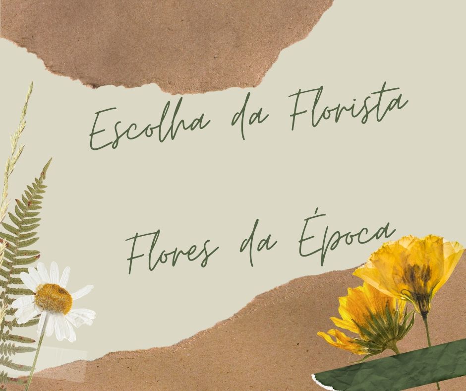 Texto sobre papel rasgado com ilustrações de flores branca e amarelas