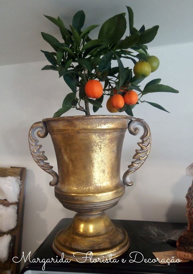 Vaso dourado com planta de frutos laranja e verde