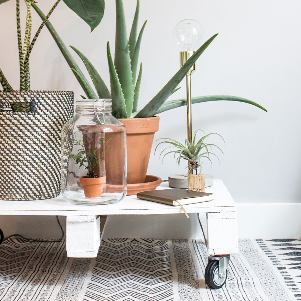 Mesa branca com rodas e plantas diversas em vasos sobre tapete preto e branco