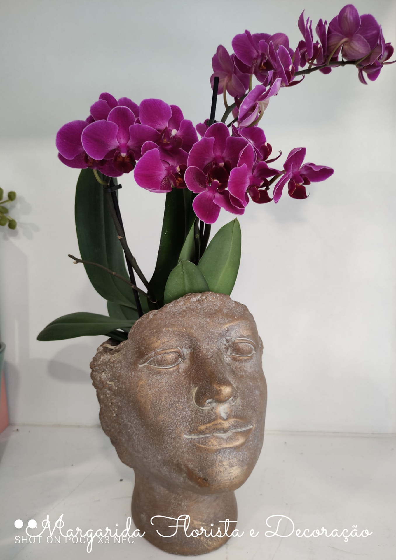 Vaso em forma de cabeça com planta e flores roxas