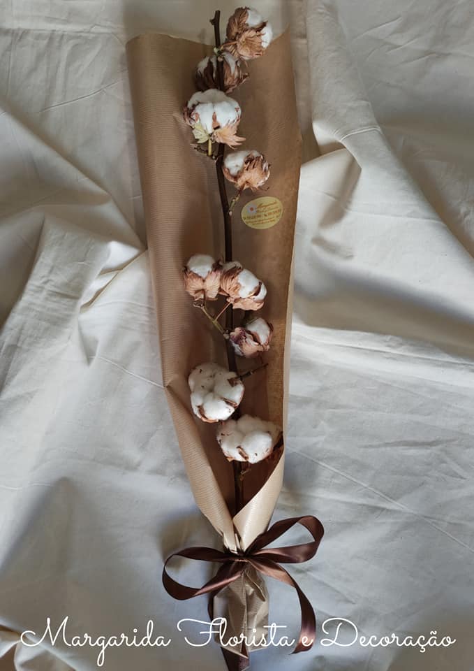 Ramo de algodão embalado em papel castanho e creme com fita castanha