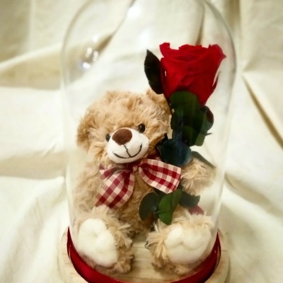Urso de peluche com rosa dentro de um globo de vidro em base de madeira com fita vermelha