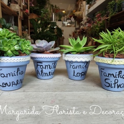 Quatro vasos azuis claros com plantas suculentas e textos manuscritos de nomes de famílias em loja de flores
