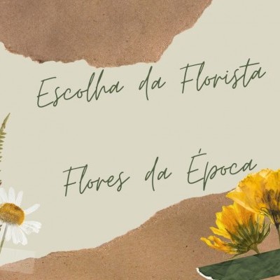 Texto sobre papel rasgado com ilustrações de flores branca e amarelas