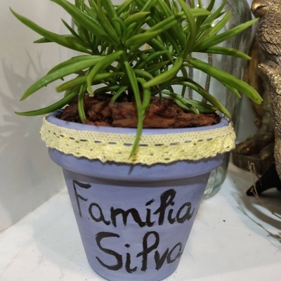 Suculenta&#x20;Family