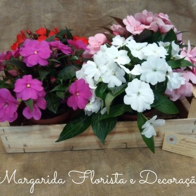 Arranjo de flores coloridas em vaso dentro de caixa de madeira