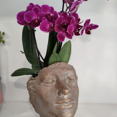 Vaso em forma de cabeça com planta e flores roxas