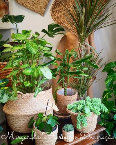 Plantas verdes em vasos de cestos de palha com decoração rústica ao fundo