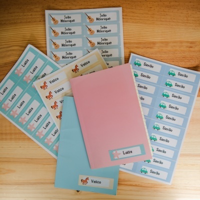 Etiquetas adesivas personalizadas com nomes e ilustrações em cadernos cor-de-rosa e azul sobre madeira.