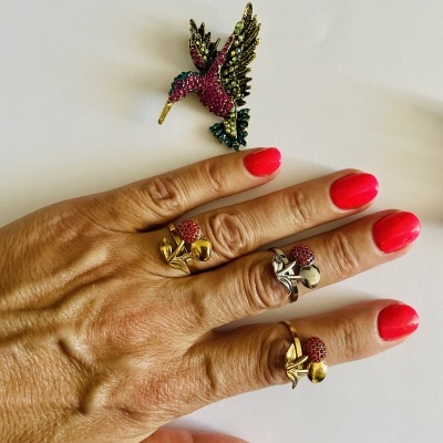 Mão com anéis decorativos e broche de beija-flor em fundo branco