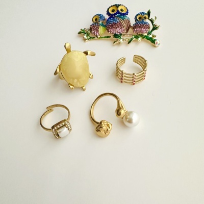 Brincos e anéis dourados com broche de corujas coloridas num fundo branco