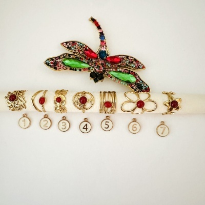 Broche de libélula colorida e sete anéis dourados com pedras vermelhas numerados