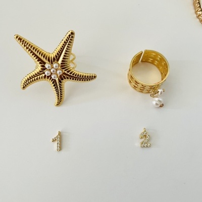 Brincos pequenos dourados número 1 e 2, anel dourado texturizado com pérolas e broche estrela-do-mar com pérolas