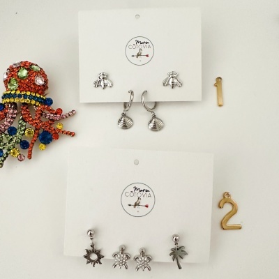 Brincos em metal prateado com diferentes motivos e broche colorido de polvo