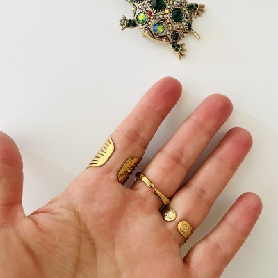 broche tartaruga com pedras coloridas junto a mão com anéis dourados