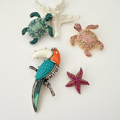 Broches em forma de tartarugas, estrela-do-mar e tucano coloridos com detalhes em strass