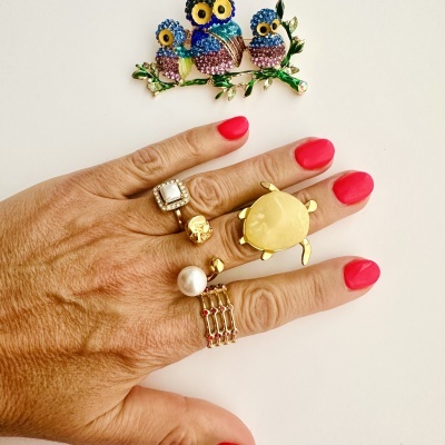 Mão com quatro anéis dourados e broche de corujas decorativo