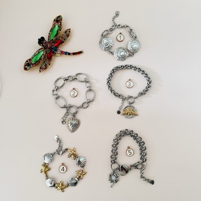 Pulseira libélula colorida e cinco pulseiras metálicas numeradas com pingentes