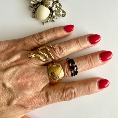 Mão com três anéis e unhas vermelhas, broche de inseto ao lado