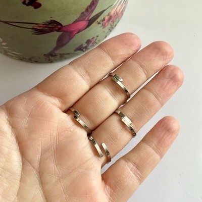 Mão com três anéis prateados e vaso verde decorado com pássaros cor-de-rosa