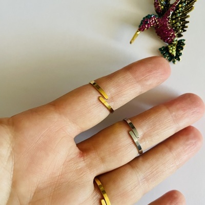 Três anéis metálicos finos compridos e um broche colorido de beija-flor num fundo branco