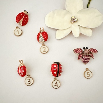Broches pequenos em forma de joaninha e abelha com detalhes em strass e esmaltados