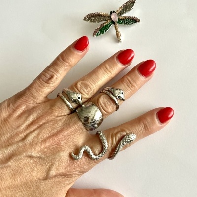 Mão com anéis de animais e broche de libélula sobre fundo branco