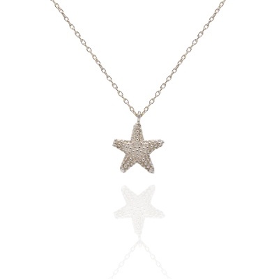 Colar prateado com pendente estrela do mar