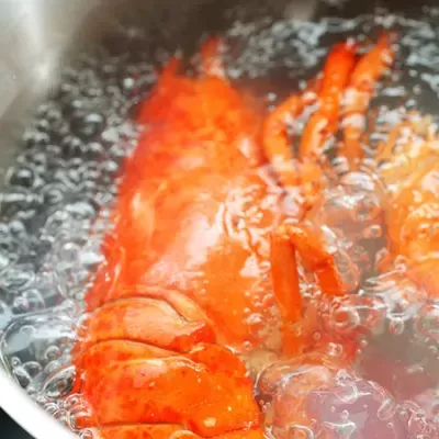 Lagosta laranja a ferver numa panela de metal