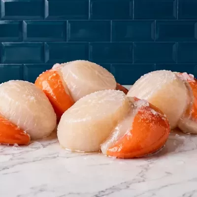 Quatro vieiras frescas com garras laranja sobre mármore branco e azulejos azuis