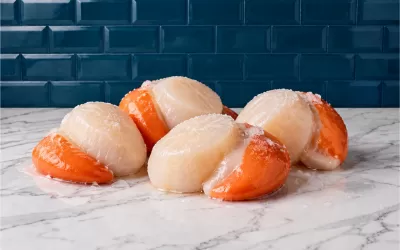 Quatro vieiras frescas com garras laranja sobre mármore branco e azulejos azuis