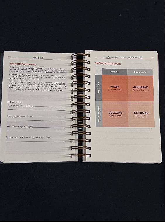 Agenda Pro Argolas Páginas de caderno abertas com tabela da Matriz de Eisenhower em português.