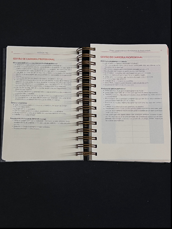 Agenda Pro Argolas Livro de agenda profissional aberto com texto em português sobre gestão de carreira