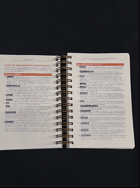 Agenda Pro Argolas Livro de agenda PDI aberto com texto em português e encadernação de argolas.