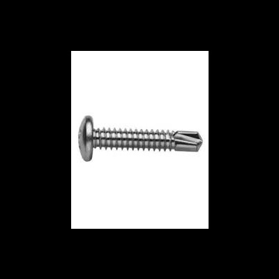 Parafuso auto-roscante prateado com cabeça redonda e fenda em cruz