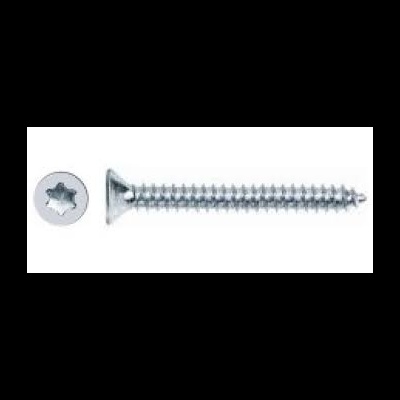 Parafuso metálico prateado com cabeça chata e fenda estrela