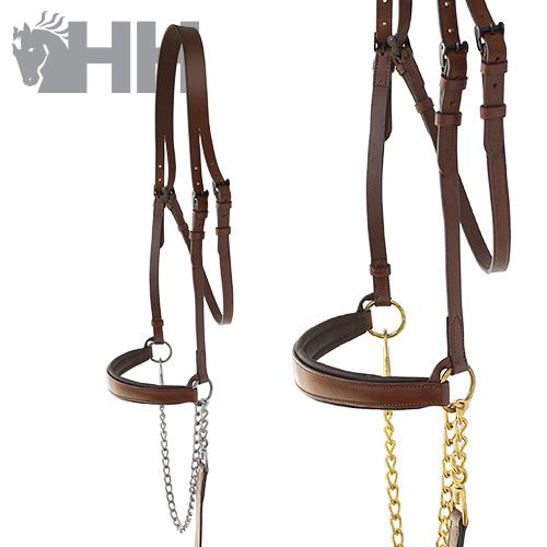 Bridão de couro castanho com argolas douradas e correntes em fundo branco