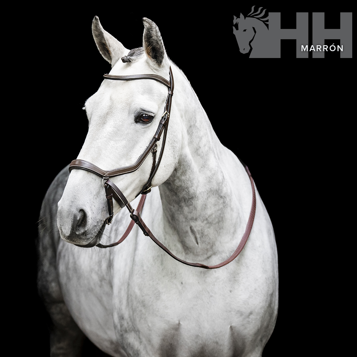 Cavalo branco com embocadura castanha e logotipo HH cinzento com a palavra MARRÓN