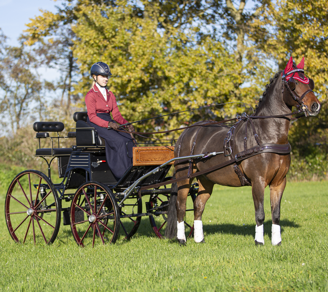 Carruagem preta puxada por cavalo castanho com proteção vermelha e pessoa conduzindo
