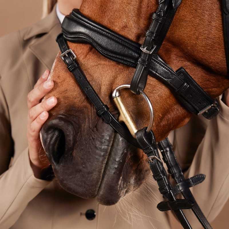 Cavalo castanho com cabresto preto e mãos humanas a segurá-lo